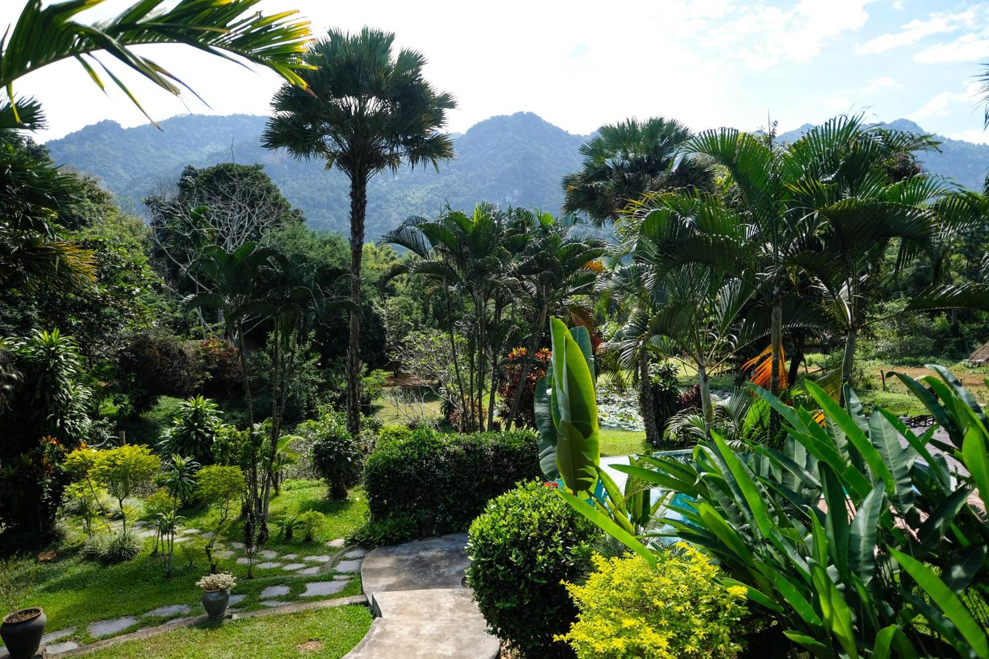 Hillside - Nature Lifestyle Lodge Λουάνγκ Πραμπάνγκ Εξωτερικό φωτογραφία